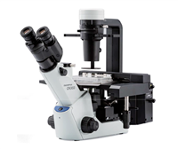 奧林巴斯CKX53倒置顯微鏡